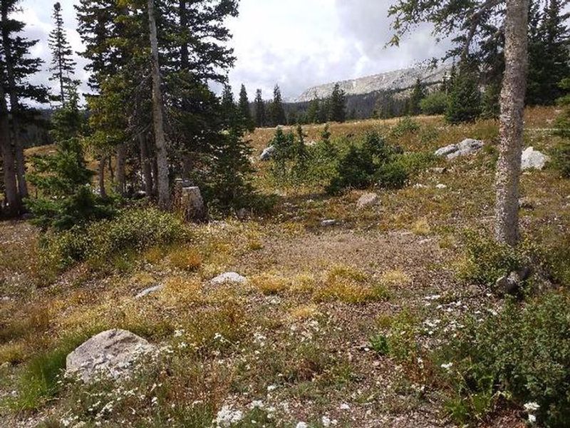 Brooklyn Lake unit 11