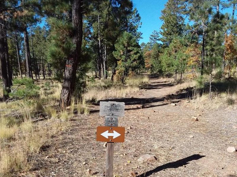 Rim Lakes Vista Trail