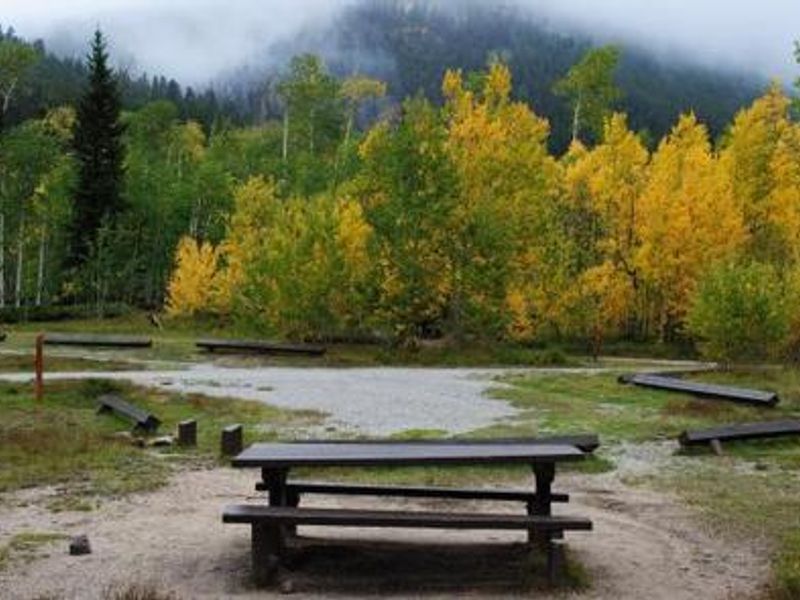 Campsite with a view of aspen trees with fall foliage.