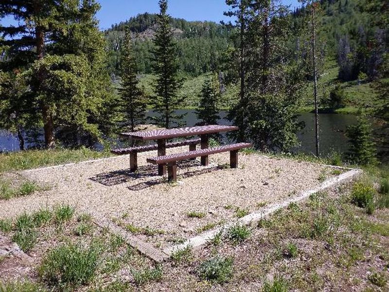 Hahns Peak Lake Day Use picnic table