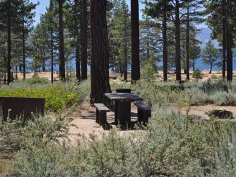 Each campsite has a picnic table, fire ring and food locker.  