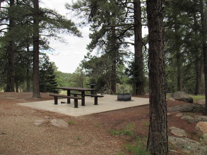 All sites have concrete table pads