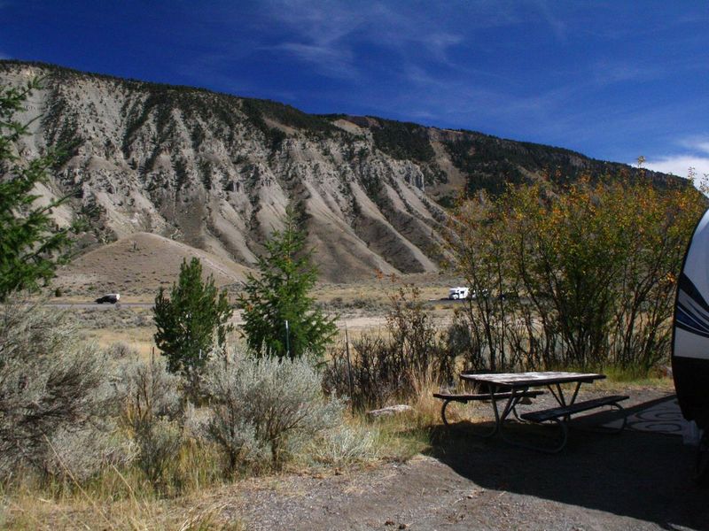 Mammoth Campsite #44