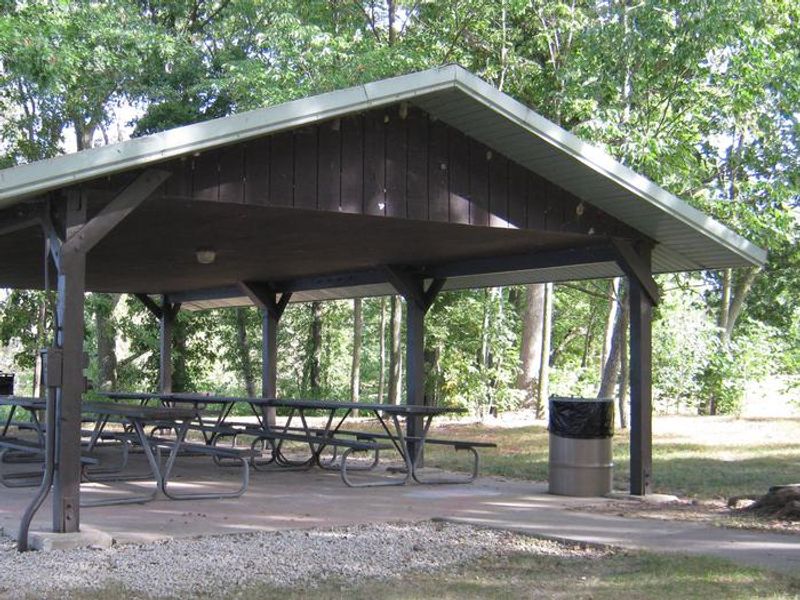 Picnic Shelter 1