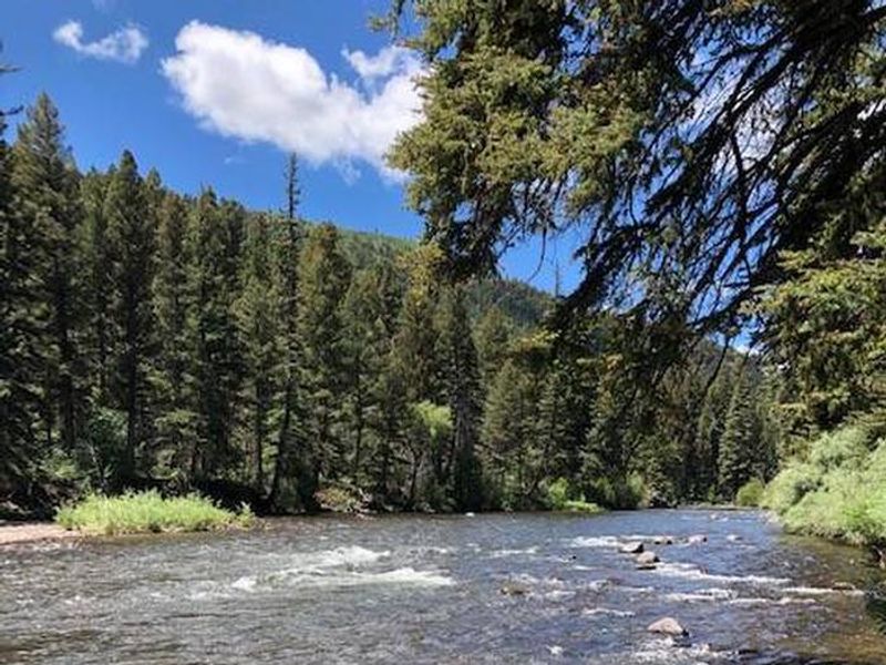 Conejos River at Aspen Glade Campground