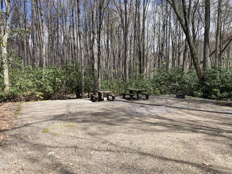 Double campsite, two picnic tables