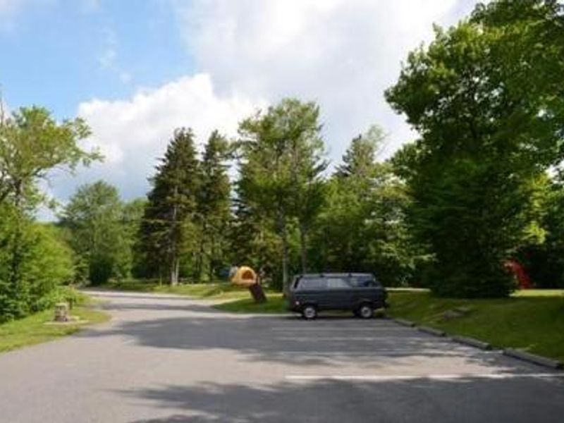 Parking showing vehicle and trees at walk in camp area