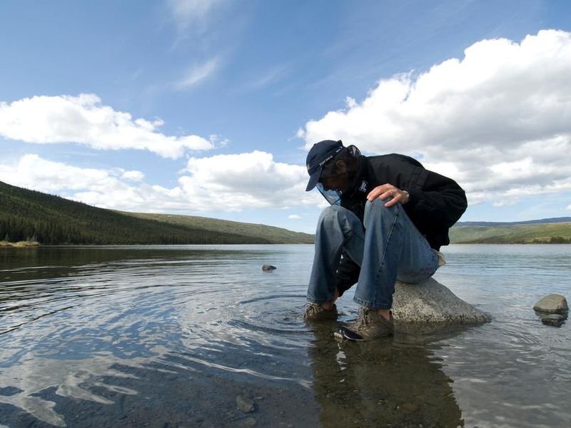 Head nets are critical for Wonder Lake from early June through early September.