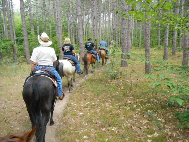 Make your next adventure the Manistee National Forest Hungerford Equestrian Trail!