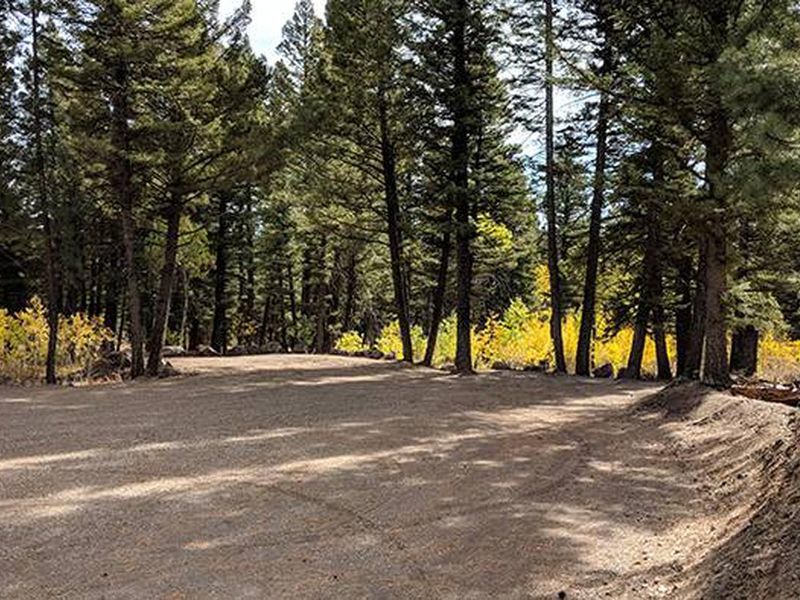 New Group Area Parking