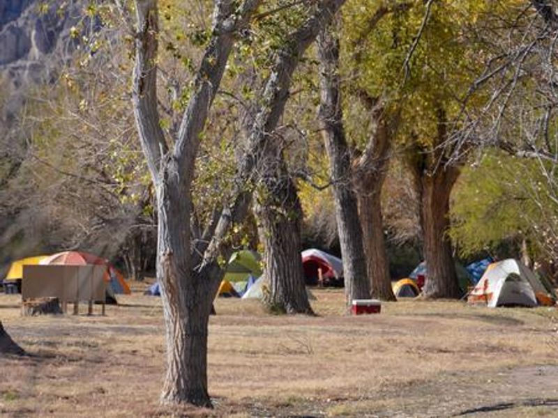 Tents scattered on flat, grassy area