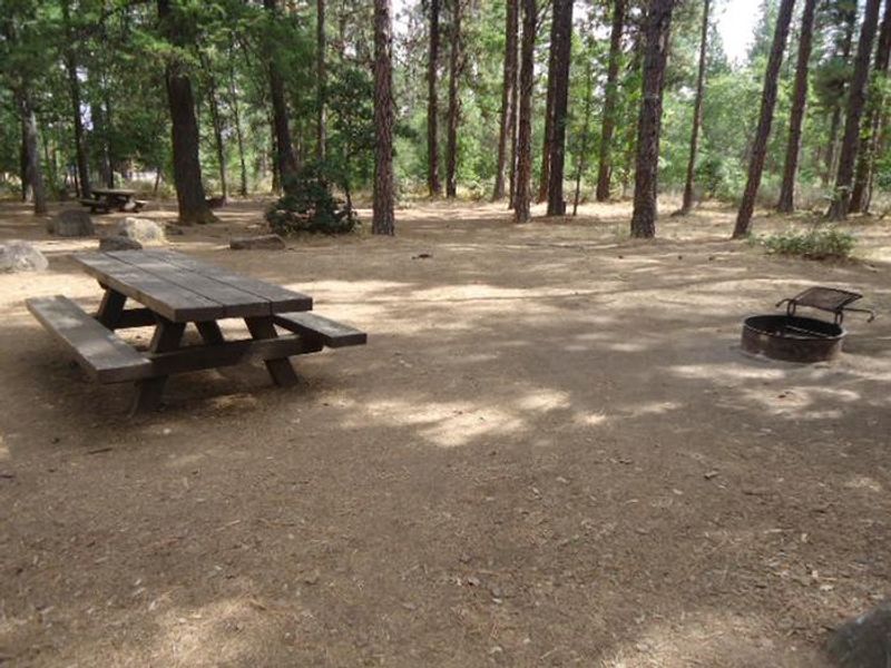 Rock Creek Mt Hood NF