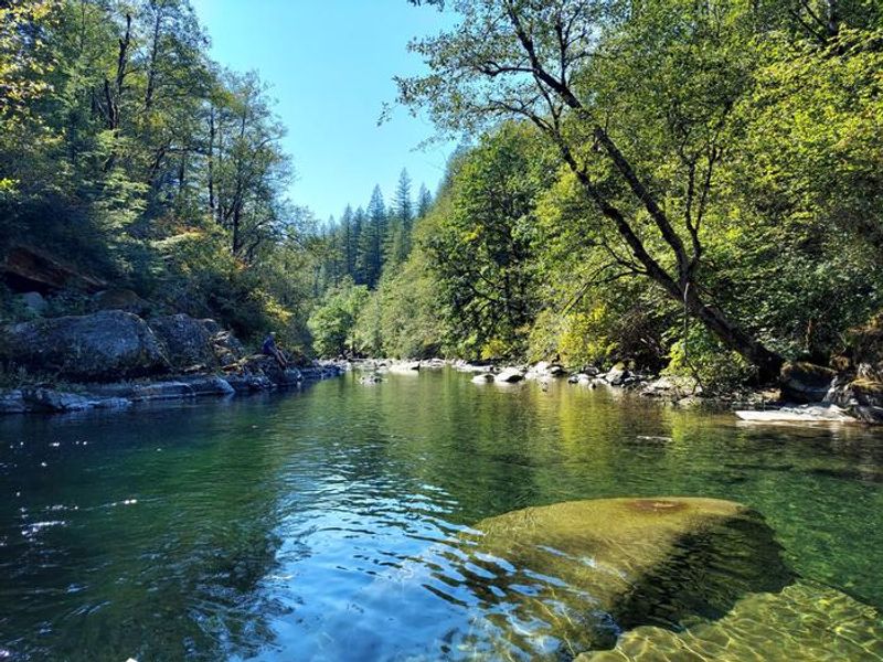 Creek by Sunset Falls