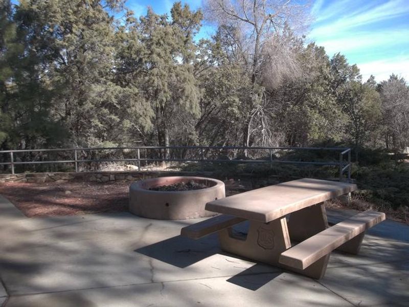 Group site showing table and fire pit