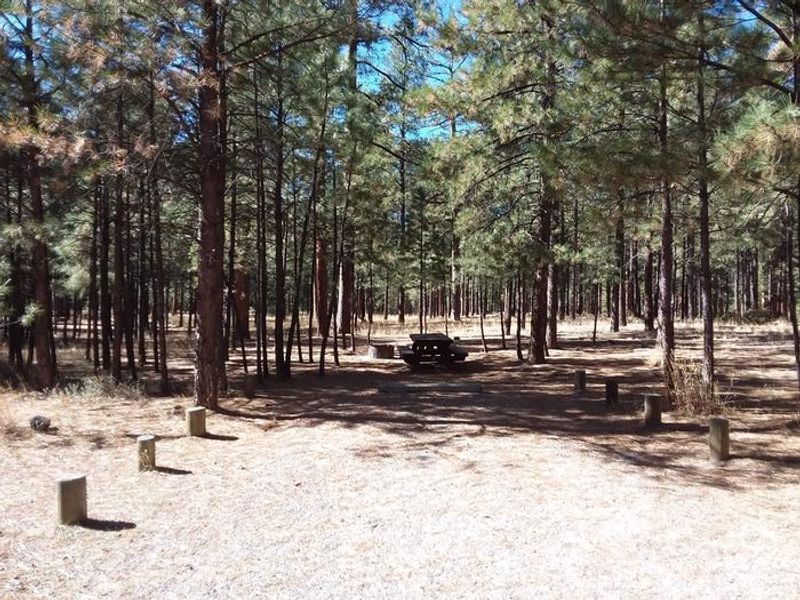 Jemez Falls Campground 