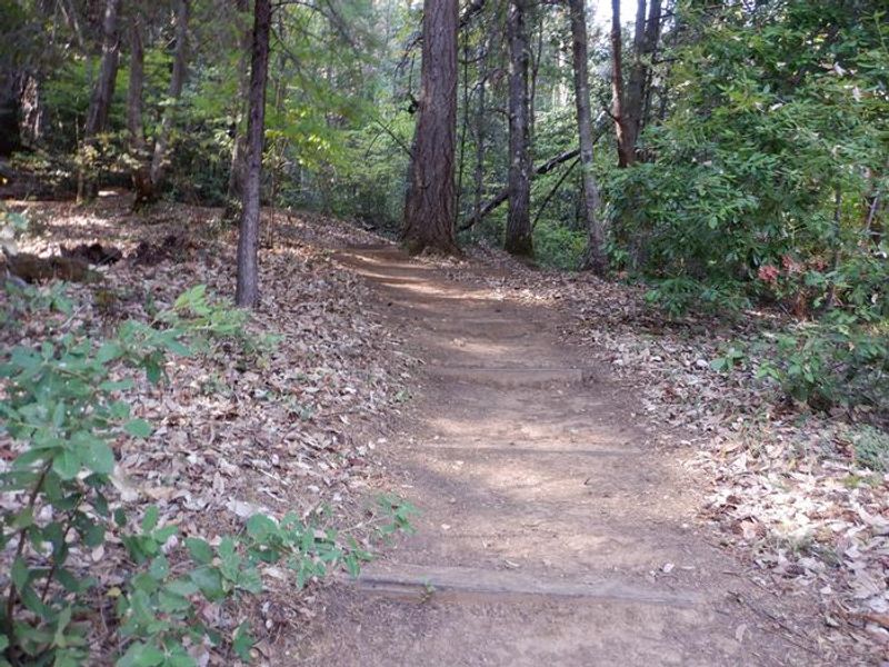 Path to Campsite 2