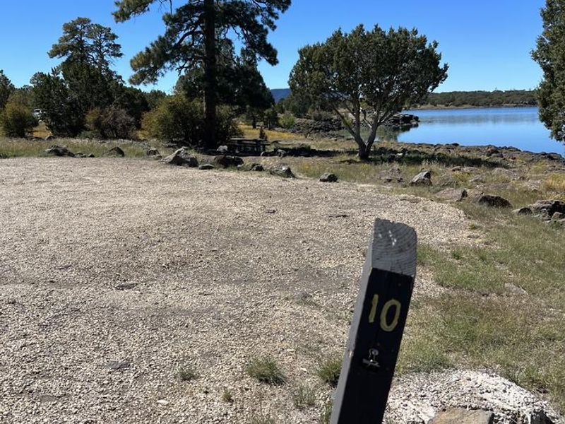 Forked Pine Campground - Site 10