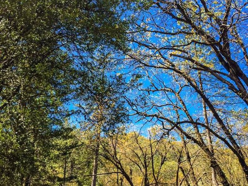 Bailey Cove Campground Enterance