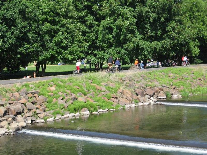 Recreational activities 