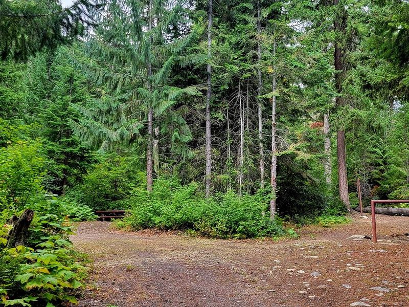 Black Pine Horse Camp - Site 4


