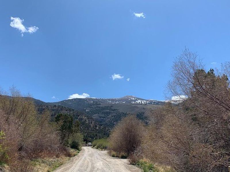 View of the Schellcreek Range from the campground
